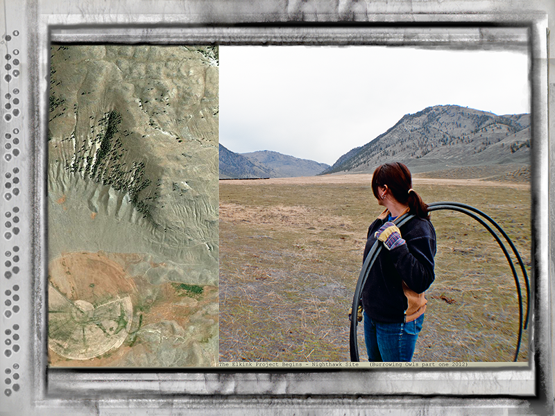 Burrowing Owl Project begins